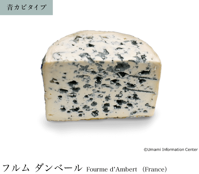 青カビタイプ / フルム ダンベール Fourme d’Ambert （France）