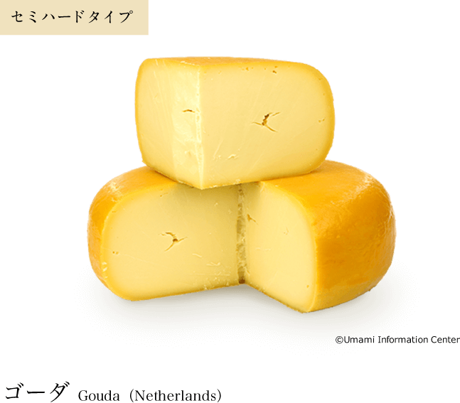 セミハードタイプ / ゴーダ Gouda（Netherlands）