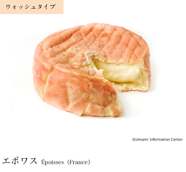 ウォッシュタイプ / エポワス Époisses（France）