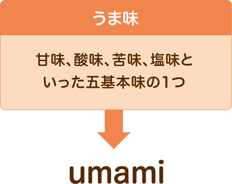 うま味の説明