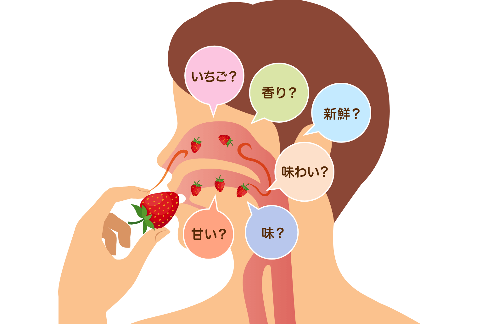 イチゴを噛んだ時の味覚