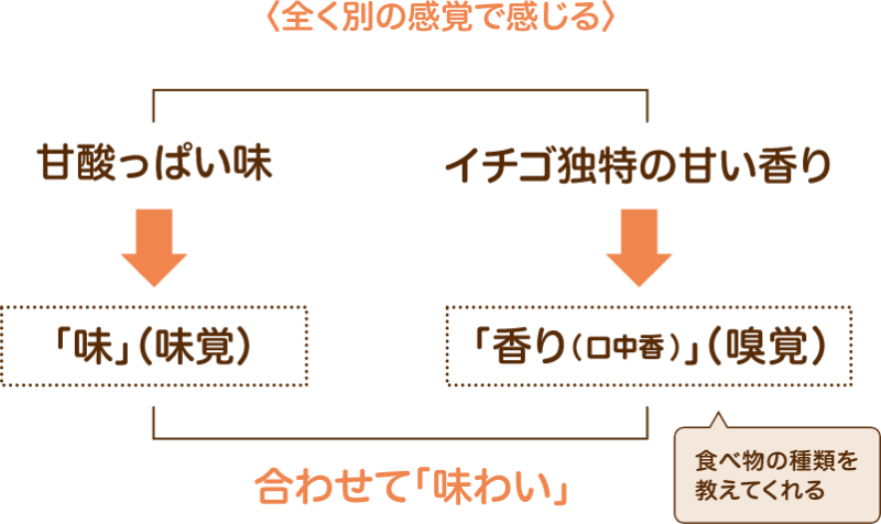 全く別の感覚で感じる