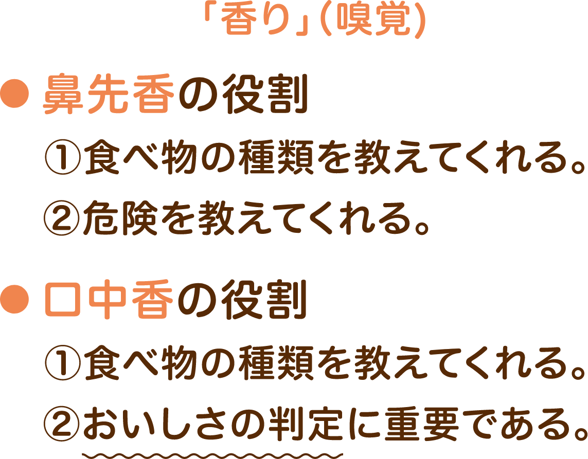 2種類の香り 鼻先香と口中香 特定非営利活動法人 うま味インフォメーションセンター