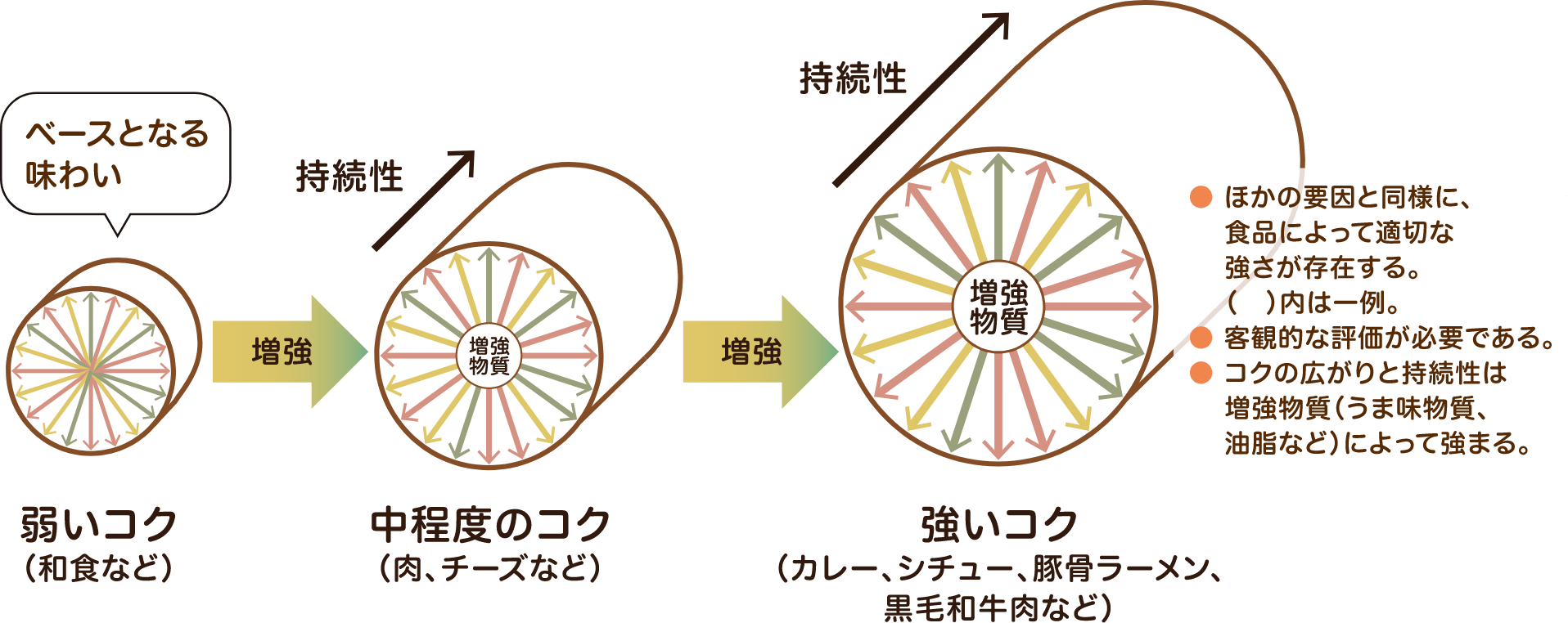 コクの広がりと持続性の増強メカニズム