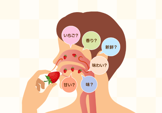 「味」と「味わい」の正しい使い方