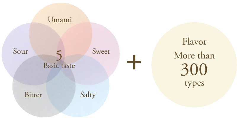 味の５大要素＋香りの成分300種類