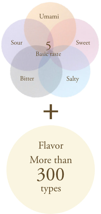 味の５大要素＋香りの成分300種類