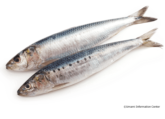 海産物 特定非営利活動法人 うま味インフォメーションセンター