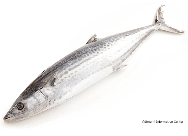 海産物 特定非営利活動法人 うま味インフォメーションセンター