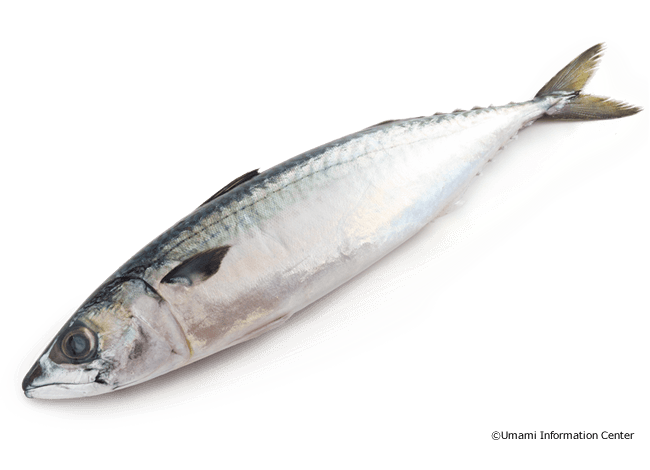 ph 食べ物 海産物 CIAO チャオ ちゅ る 下部尿路配慮 まぐろ 海鮮ミックス味 20本入り