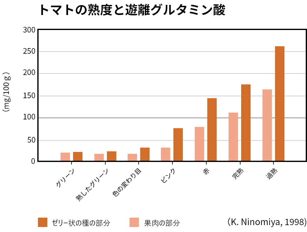 トマトの熟度と遊離グルタミン酸