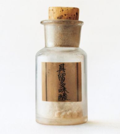 池田菊苗博士が昆布から抽出したグルタミン酸（1908年）