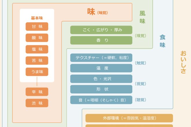 基本味としてのうま味