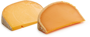 熟成度の異なるチーズのうま味比較