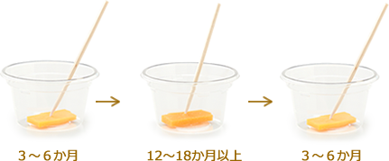 熟成度の異なるチーズのうま味比較